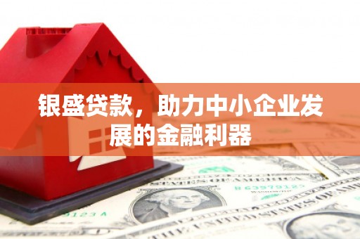 巴里坤银盛贷款，助力中小企业发展的金融利器