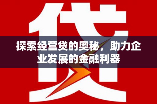 巴里坤探索经营贷的奥秘，助力企业发展的金融利器