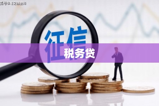 巴里坤税务贷