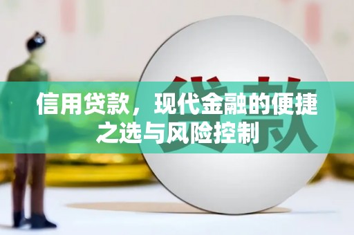 巴里坤信用贷款，现代金融的便捷之选与风险控制