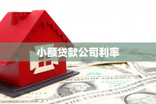 巴里坤小额贷款公司利率