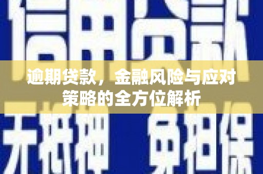 巴里坤逾期贷款，金融风险与应对策略的全方位解析