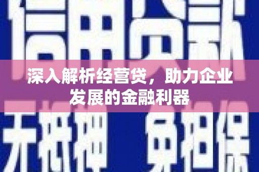 巴里坤深入解析经营贷，助力企业发展的金融利器