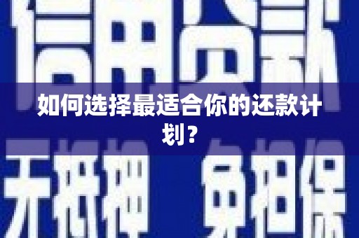 巴里坤如何选择最适合你的还款计划？