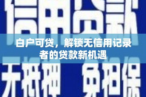 巴里坤白户可贷，解锁无信用记录者的贷款新机遇