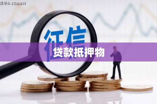 巴里坤贷款抵押物