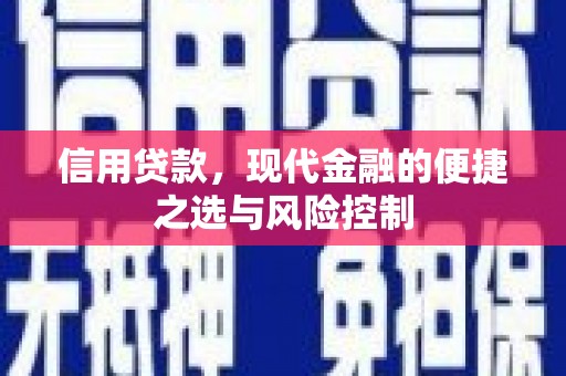 巴里坤信用贷款，现代金融的便捷之选与风险控制