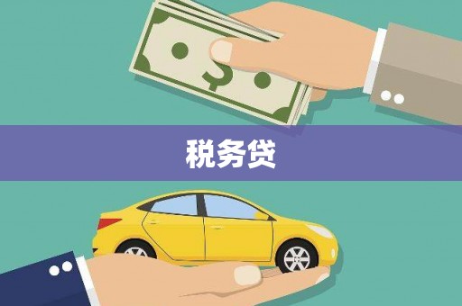 巴里坤税务贷