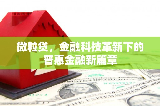 巴里坤微粒贷，金融科技革新下的普惠金融新篇章
