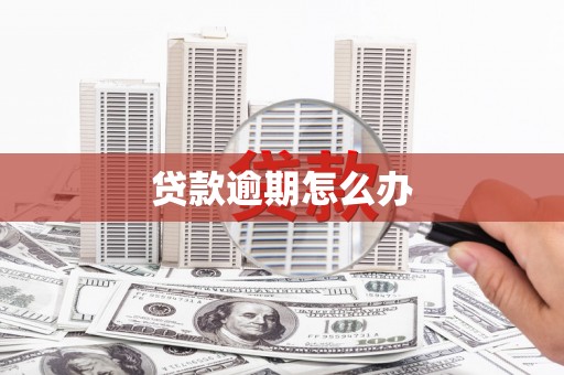 巴里坤贷款逾期怎么办