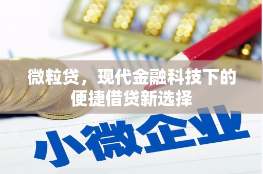 巴里坤微粒贷，现代金融科技下的便捷借贷新选择