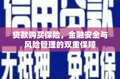 巴里坤贷款购买保险，金融安全与风险管理的双重保障