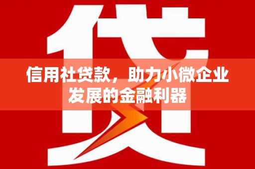 巴里坤信用社贷款，助力小微企业发展的金融利器