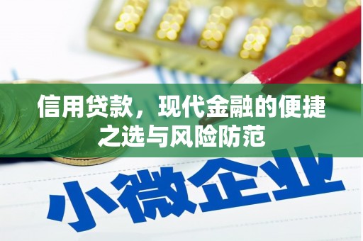 巴里坤信用贷款，现代金融的便捷之选与风险防范