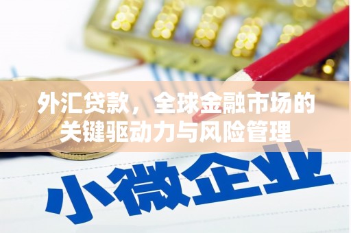 巴里坤外汇贷款，全球金融市场的关键驱动力与风险管理
