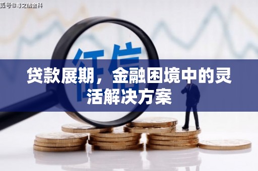 巴里坤贷款展期，金融困境中的灵活解决方案