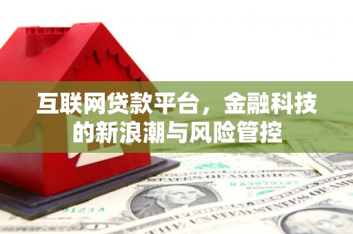 巴里坤互联网贷款平台，金融科技的新浪潮与风险管控