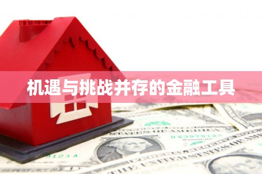 巴里坤机遇与挑战并存的金融工具
