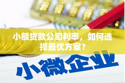 巴里坤小额贷款公司利率，如何选择最优方案？