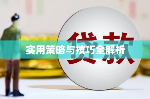 巴里坤实用策略与技巧全解析