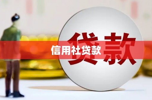 巴里坤信用社贷款