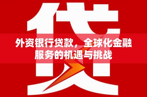 巴里坤外资银行贷款，全球化金融服务的机遇与挑战