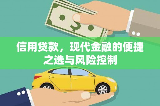 巴里坤信用贷款，现代金融的便捷之选与风险控制