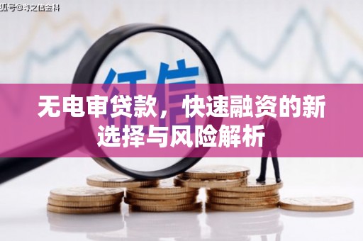 巴里坤无电审贷款，快速融资的新选择与风险解析