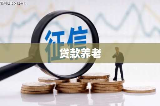 巴里坤贷款养老