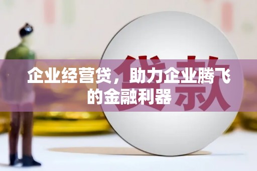 巴里坤企业经营贷，助力企业腾飞的金融利器