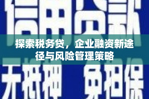 巴里坤探索税务贷，企业融资新途径与风险管理策略