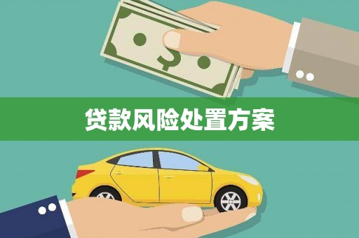 巴里坤贷款风险处置方案