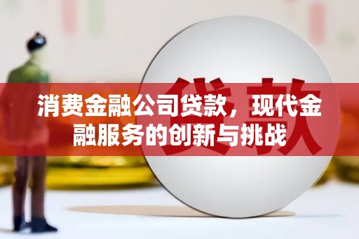巴里坤消费金融公司贷款，现代金融服务的创新与挑战