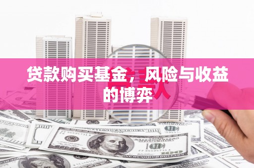 巴里坤贷款购买基金，风险与收益的博弈