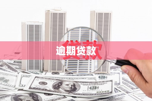巴里坤逾期贷款