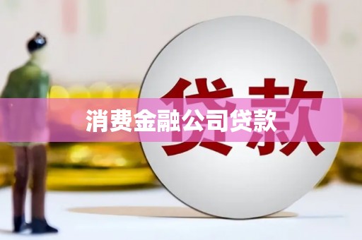 巴里坤消费金融公司贷款