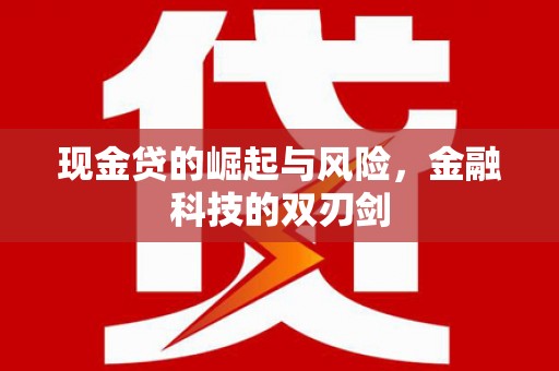 巴里坤现金贷的崛起与风险，金融科技的双刃剑