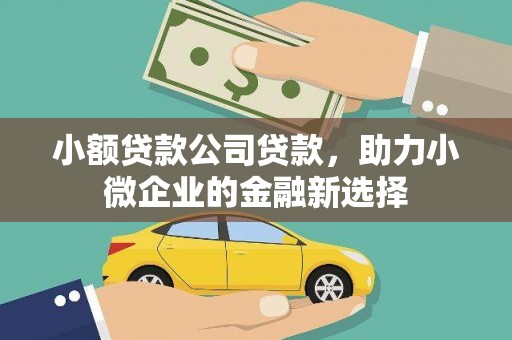 巴里坤小额贷款公司贷款，助力小微企业的金融新选择