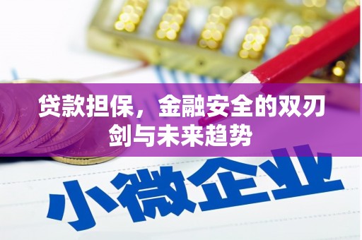 巴里坤贷款担保，金融安全的双刃剑与未来趋势