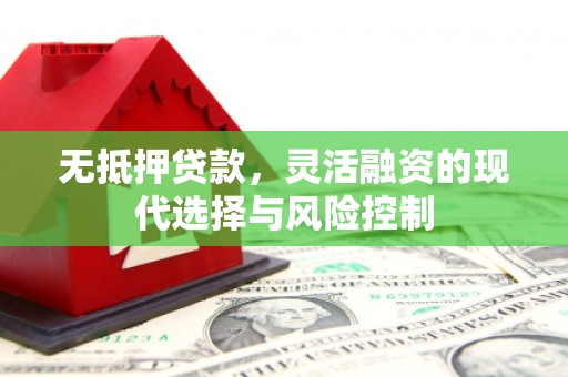 巴里坤无抵押贷款，灵活融资的现代选择与风险控制