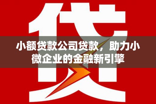 巴里坤小额贷款公司贷款，助力小微企业的金融新引擎