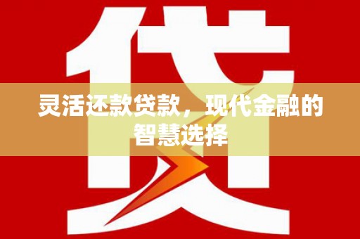 巴里坤灵活还款贷款，现代金融的智慧选择
