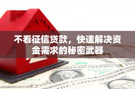 巴里坤不看征信贷款，快速解决资金需求的秘密武器