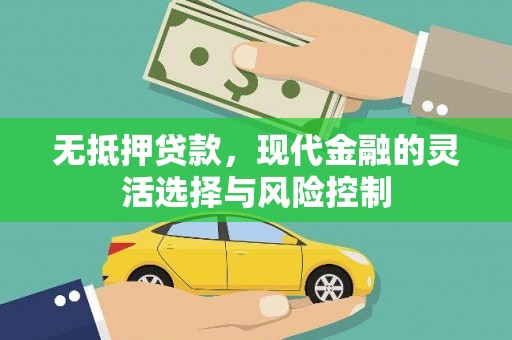 巴里坤无抵押贷款，现代金融的灵活选择与风险控制