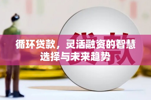 巴里坤循环贷款，灵活融资的智慧选择与未来趋势
