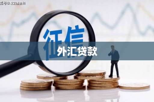 巴里坤外汇贷款