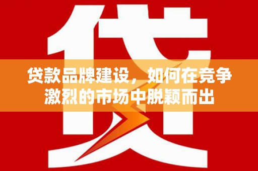 巴里坤贷款品牌建设，如何在竞争激烈的市场中脱颖而出