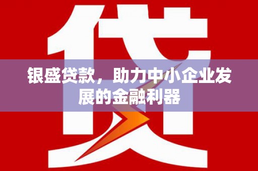 巴里坤银盛贷款，助力中小企业发展的金融利器