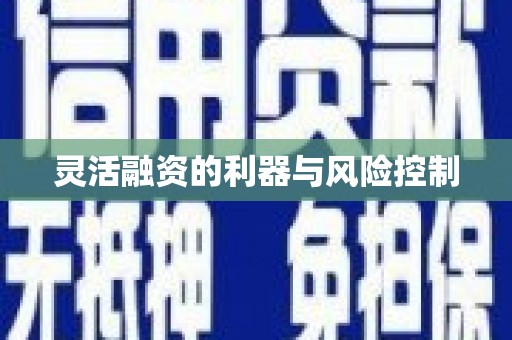 巴里坤灵活融资的利器与风险控制