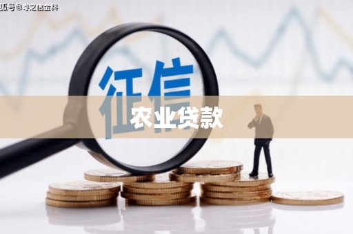 巴里坤农业贷款